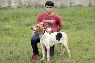 Extinct Dog Breeds: Top 10 Lost Canine Companions