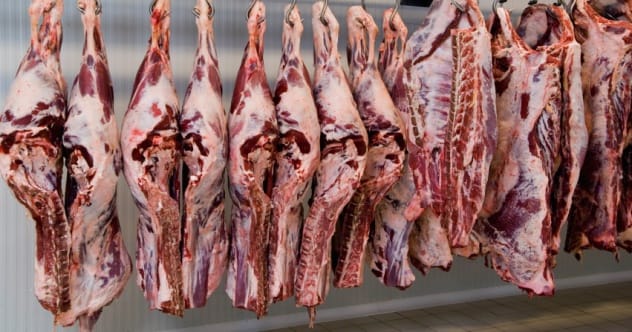 Meat hanging for sale