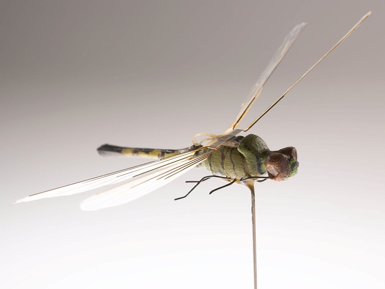 Insectothopter