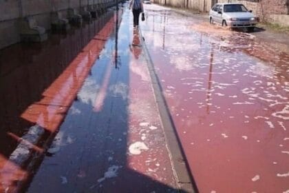 10 Shocking Food Disasters You Won't Believe Happened