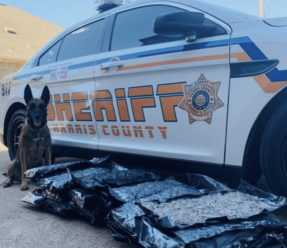 Package Containing Marijuana