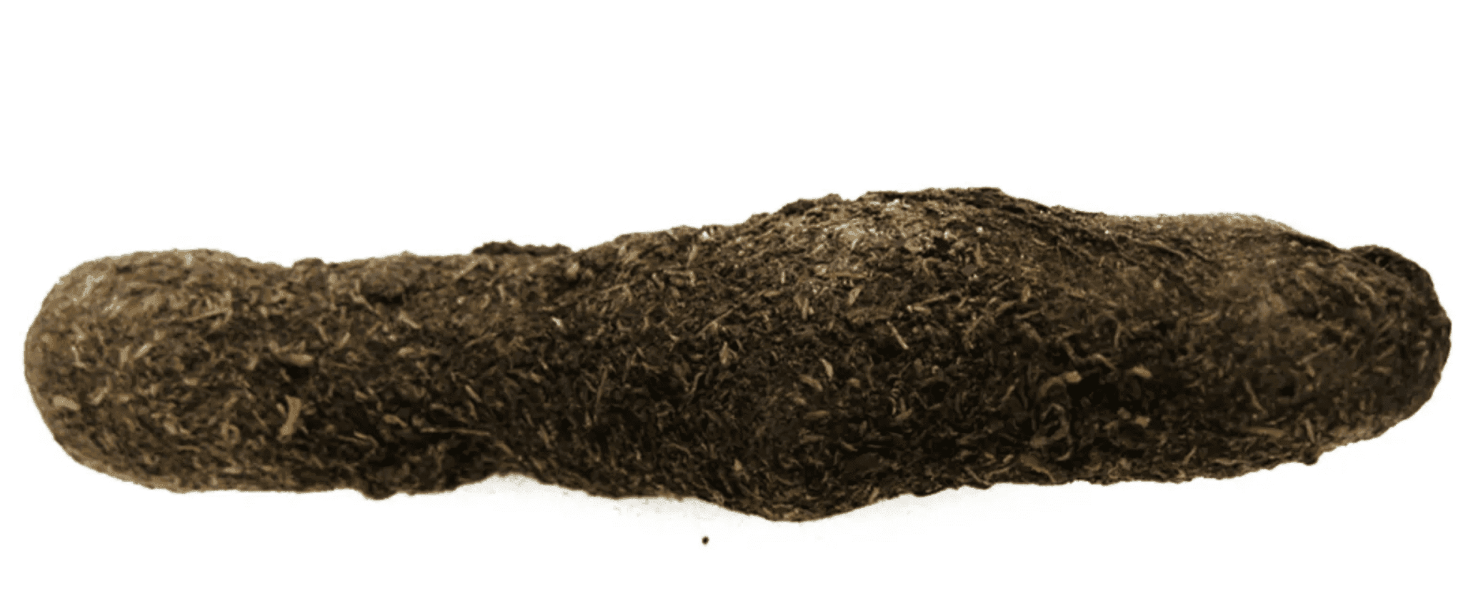 Dog Poop Transmitter