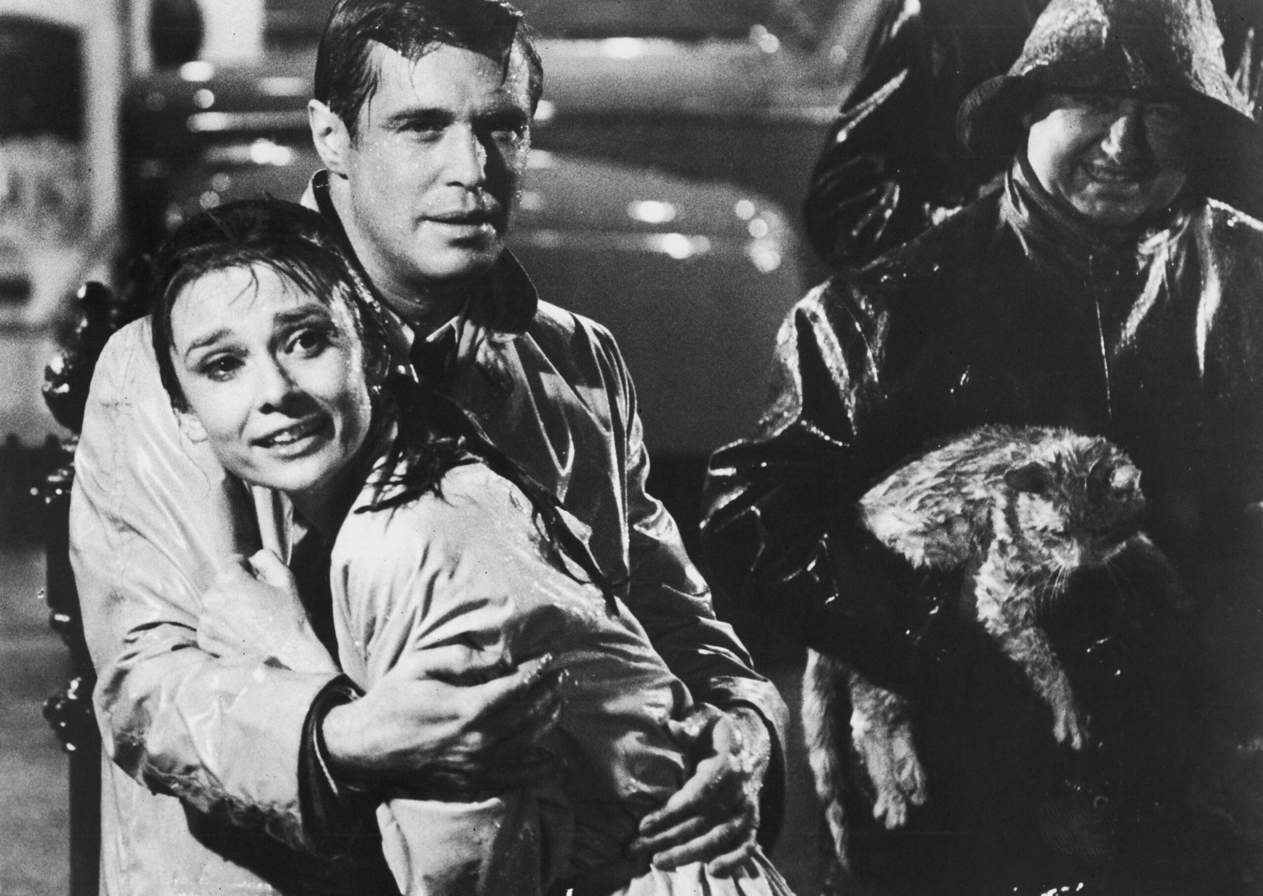 Rain droplets falling.