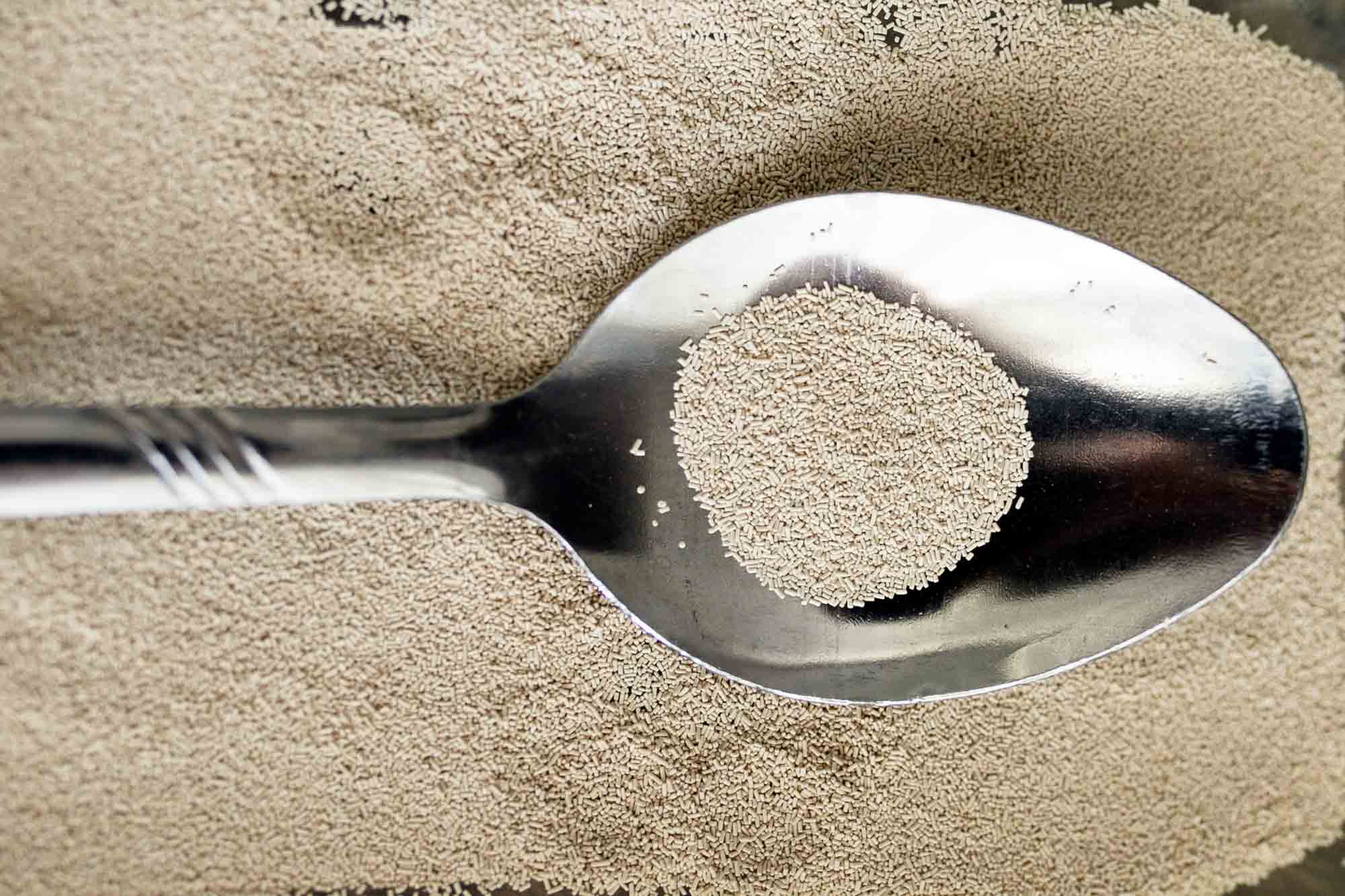 Spoon full of yeast
