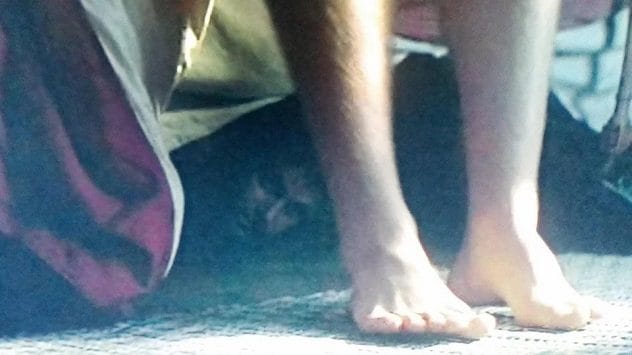 Creepy face hidden under the bed in a scene from the movie Stuck on You