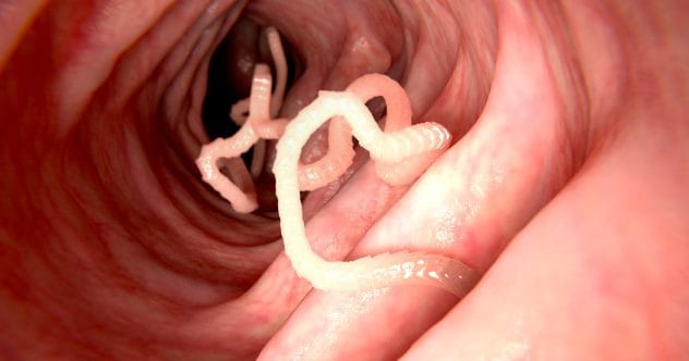 10 Surprising Disease Cures That Sound Like Science Fiction