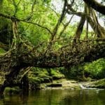 10 Weird & Wonderful Bridges You Won't Believe Exist!