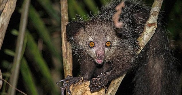 10 Wildest Science Discoveries of 2022 You Won’t Believe!