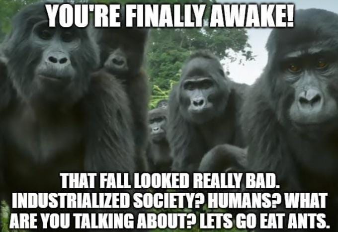 You're Finally Awake meme