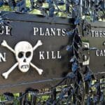 Garden's Secret Wars: 10 Chemical Battles Unveiled