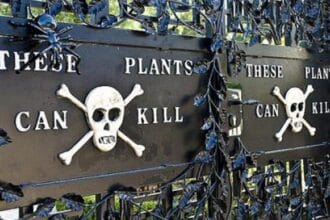 Garden's Secret Wars: 10 Chemical Battles Unveiled