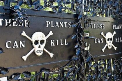 Garden's Secret Wars: 10 Chemical Battles Unveiled