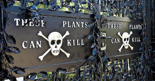 Garden's Secret Wars: 10 Chemical Battles Unveiled