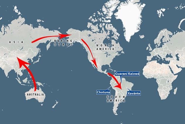 Artistic representation of ancient human migration routes across globes