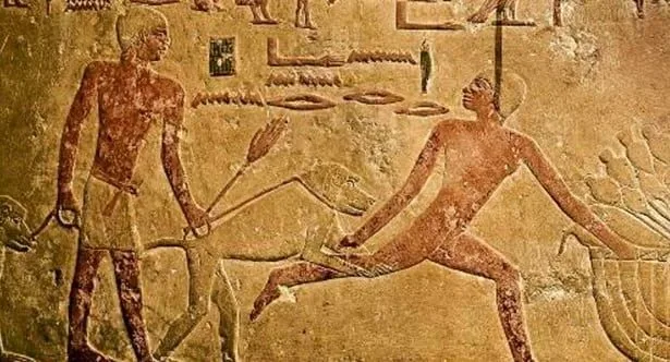 Top 10 Surprising Ancient Finds You Won't Believe!