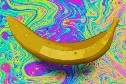 10 Epic Hoaxes Pulled Purely for Sheer Amusement