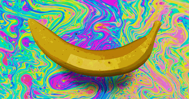 The Banana Skin Hoax