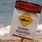 10 Most Dangerous Beaches You Might Want to Skip