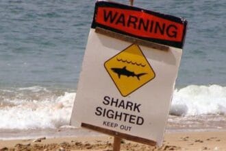 10 Most Dangerous Beaches You Might Want to Skip