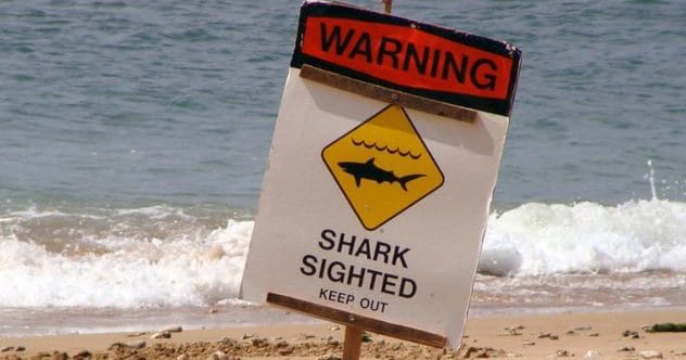 10 Most Dangerous Beaches You Might Want to Skip