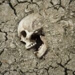 10 Bizarre Archaeological Finds That Defy Explanation