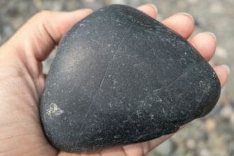 BlackRock Exposed: 10 Secrets of the World's Shadow Company