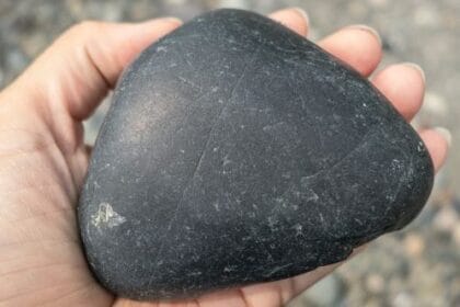 BlackRock Exposed: 10 Secrets of the World's Shadow Company