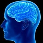10 Amazing & Unusual Facts About Your Brain