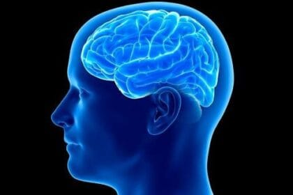 10 Amazing & Unusual Facts About Your Brain