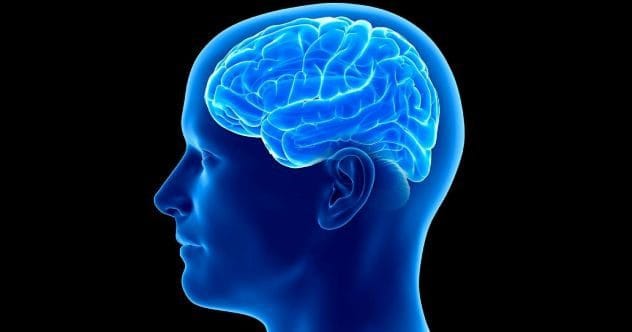 10 Amazing & Unusual Facts About Your Brain