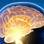 10 Brain Myths Debunked: Surprising Brain Facts