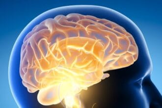 10 Brain Myths Debunked: Surprising Brain Facts