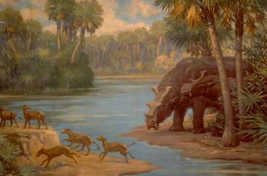 Uintatheres, a large herbivore with impressive saberteeth