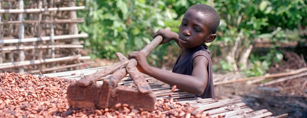 Image representing concern over modern slavery in cocoa and sugar industries