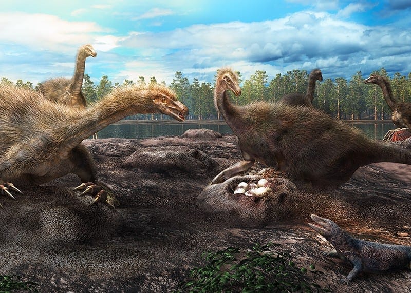 Dinosaur nesting colony