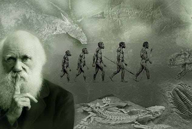 Charles Darwin portrait