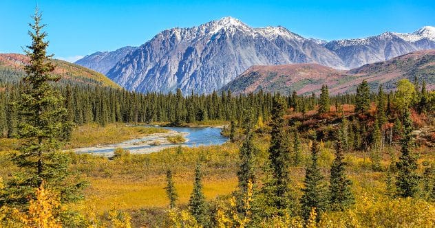 Aerial view of Denali National Park, site of a tragic plane crash.