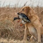 10 Bizarre Video Game Urban Legends You Won't Believe