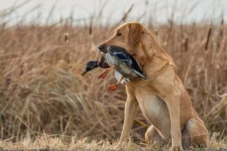 10 Bizarre Video Game Urban Legends You Won't Believe