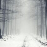 10 Chilling Horror Novels for Dark Winter Nights