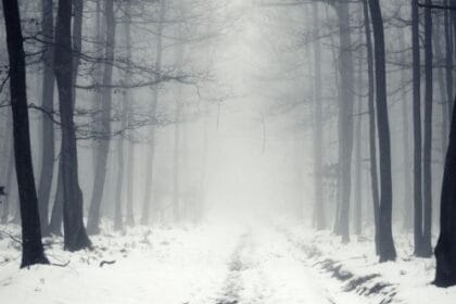10 Chilling Horror Novels for Dark Winter Nights