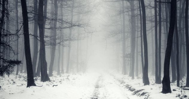 10 Chilling Horror Novels for Dark Winter Nights