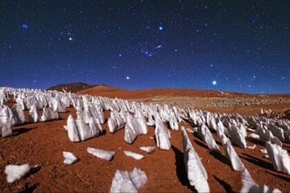 10 Wildest Desert Facts That'll Blow Your Mind