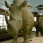 Weirdest European Attractions: Top 10 Unique Spots