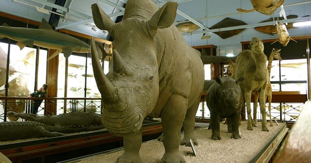 Weirdest European Attractions: Top 10 Unique Spots