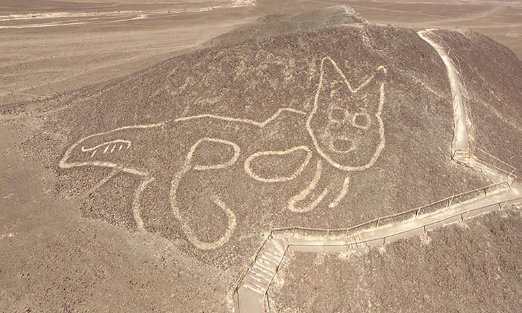 Nazca Desert cat geoglyph