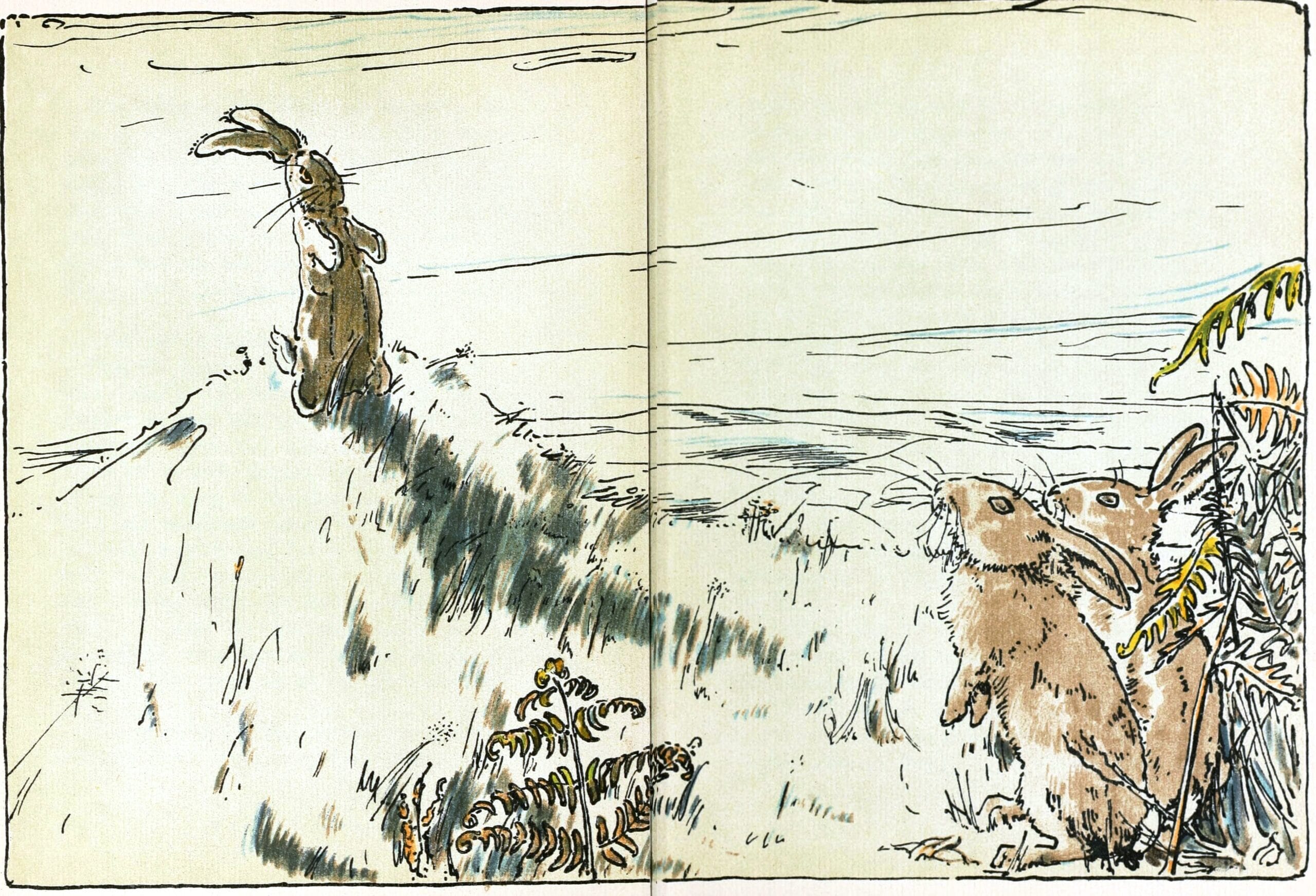 The Velveteen Rabbit book cover