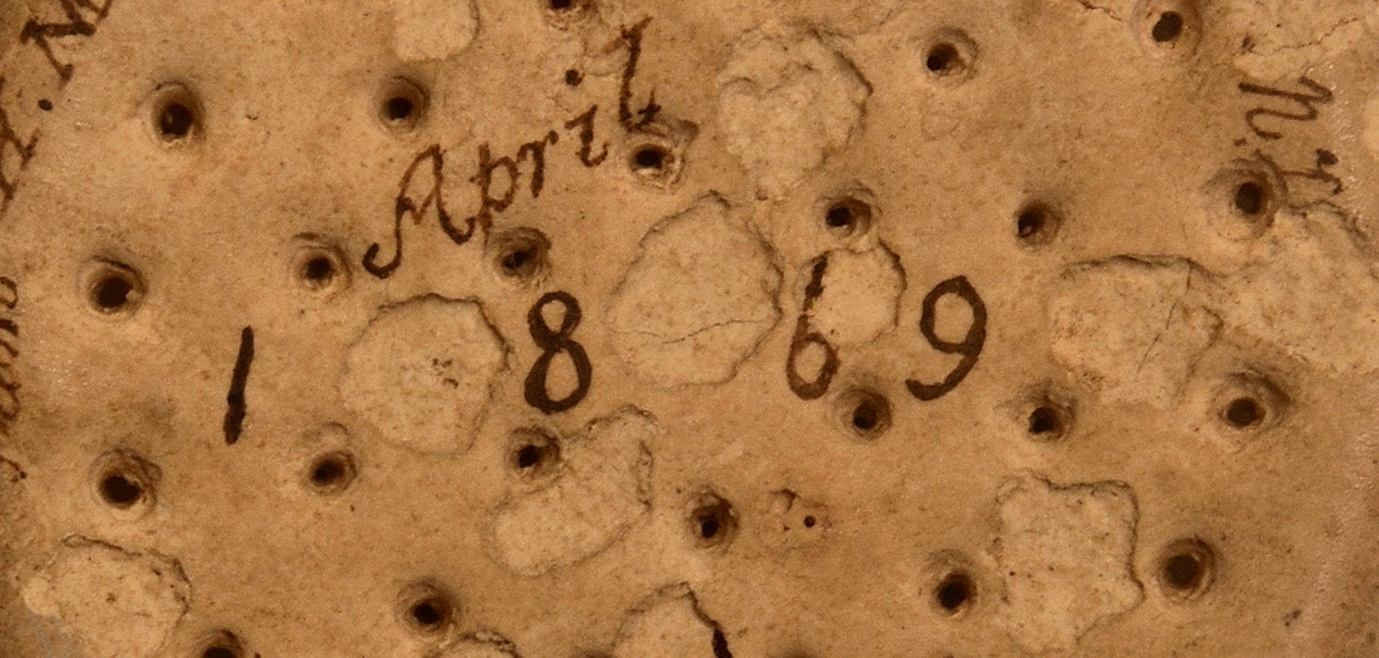 A ship's biscuit, or hardtack.