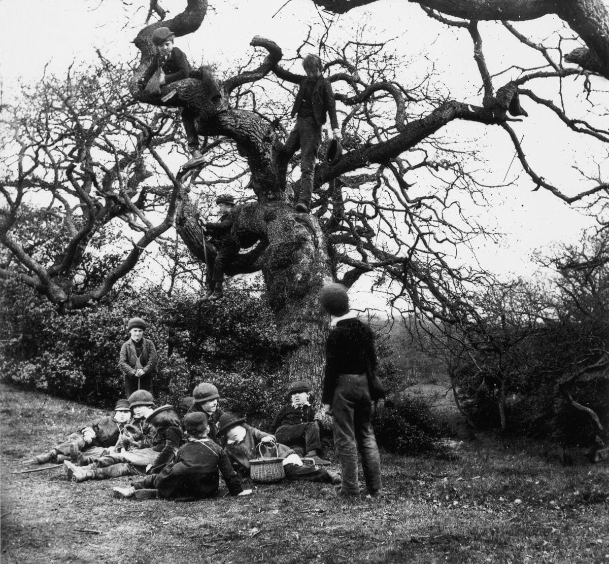 Young boys catching birds.