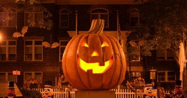 Jack O Lanterns